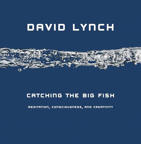 Catching the Big Fish book cover