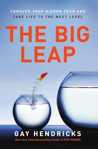 The Big Leap book cover
